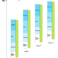 NAPLAN scale Reading