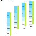 NAPLAN scale Spelling