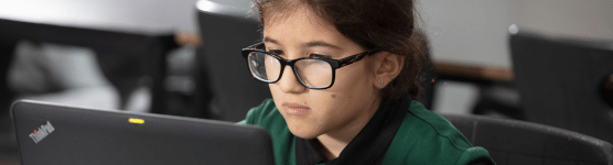 NAP Sample assessments